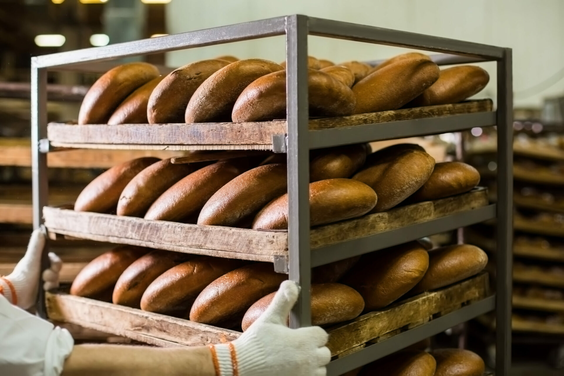 Industrial bakery with fresh bread on racks. Worker at food factory. Healthy pastry production.